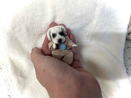 Polymer clay puppy dog - , artist