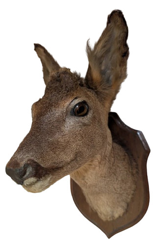 Vintage roe deer - vintage,