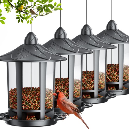 Pack bird feeders for - bird,