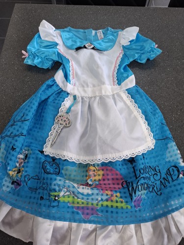 World book day costume/fancy