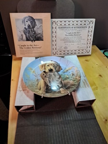 Edward knowles china golden - edward,
