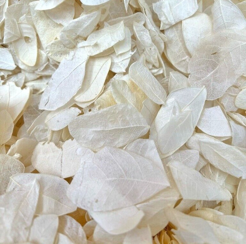 Biodegradable ivory wedding - biodegradable,