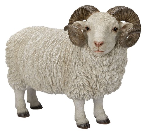 Vivid arts ram sheep with - arts,