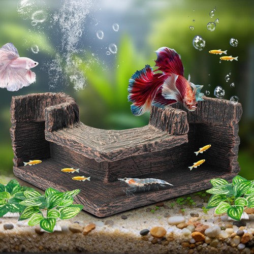 Aquarium corner fish - corner,