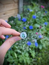 💚Colorful abalone shell
