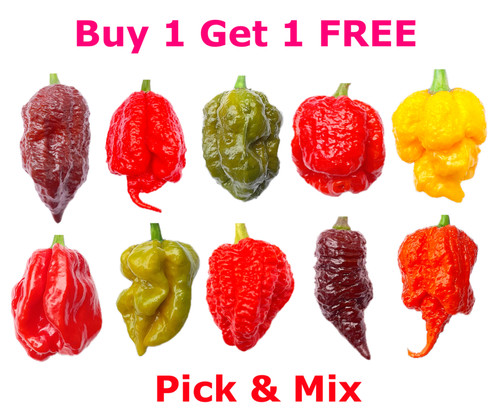 Worlds hottest chilli seeds - worlds,
