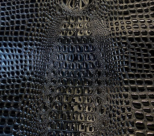 Black swamp crocodile - swamp,