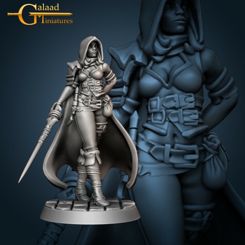 Human female rogue theif - rogue,