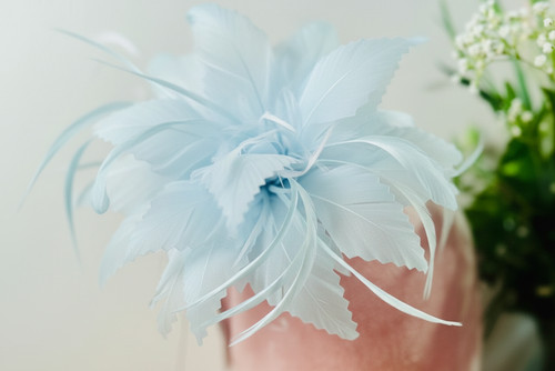 Elegant flower feather - elegant,