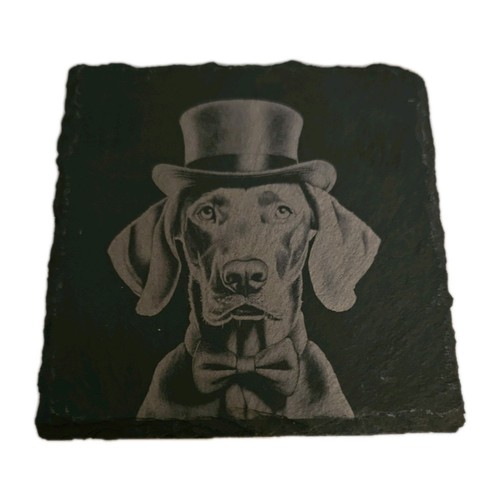 Weimaraner coaster office - weimaraner,