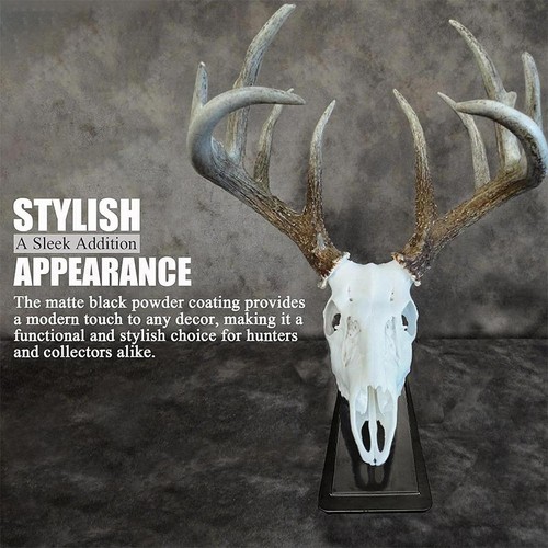 European deer skull mount - skull,