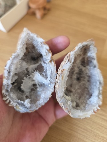 Sparkly agate geode - agate, pair