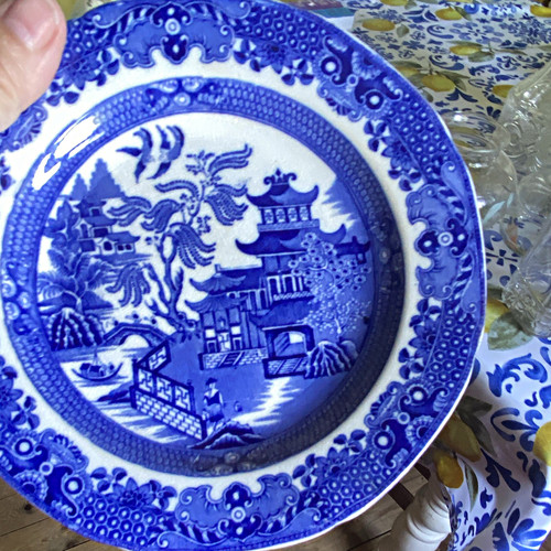 William adams blue white - adams,