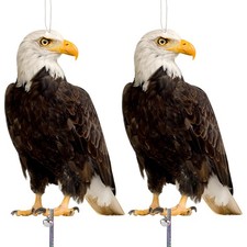 Kungfu Mall Hawk Bird Scarer