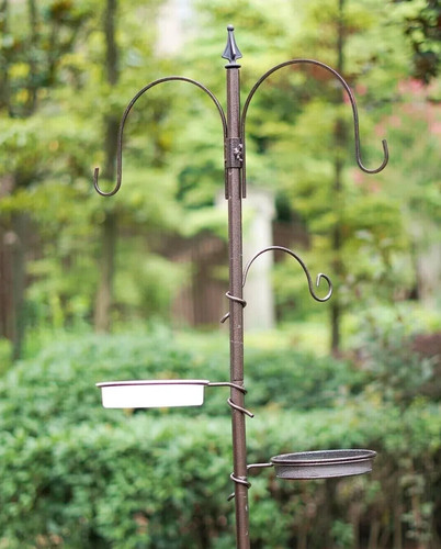 Garden bird feeding - garden,