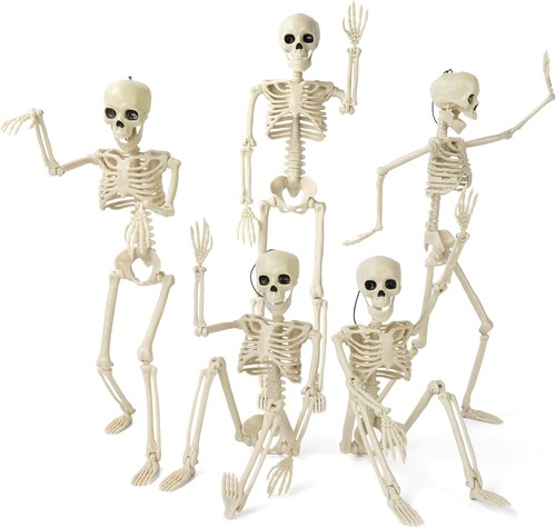 5pack halloween skeleton - 5pack,