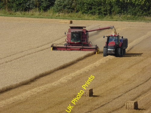 Photo 6x4 harvesting wheat - 6x4,