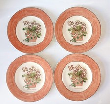 Wedgwood Sarah's Garden