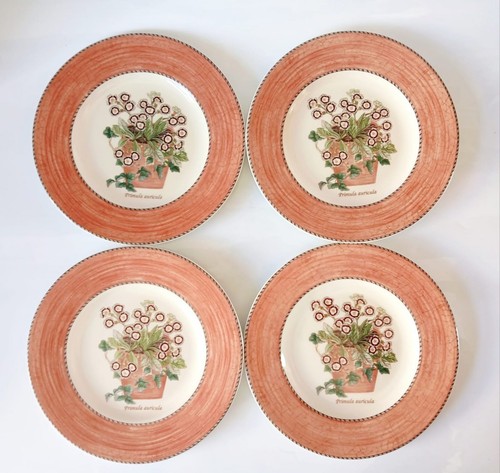 Wedgwood sarah garden red - garden,