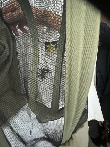 Two bee suits made bj - two, by
