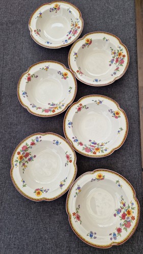 Johnson bros pareek rare - pareek,