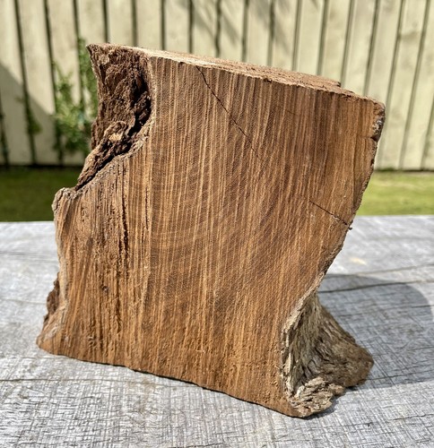 Laburnum log 2kg woodturning - laburnum,