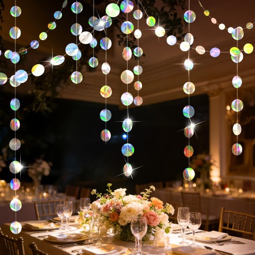 Iridescent circle garland - circle,
