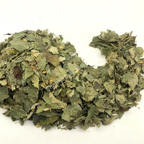 Dream herb calea - herb,, zacatechichi