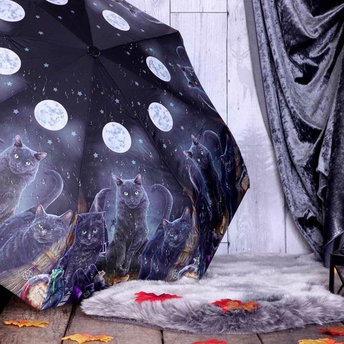 Lisa parker familiars - parker,