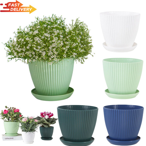 Plant pots indoor outdoor - plant,