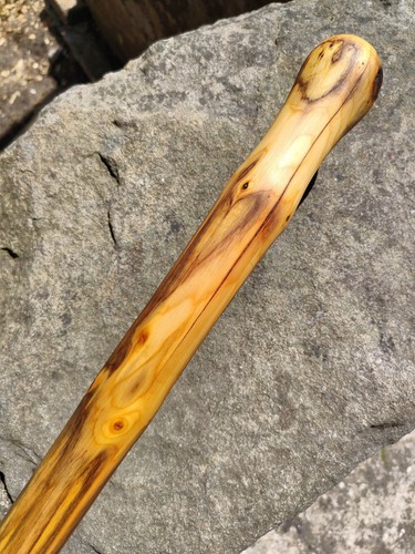 Striking yew shillelagh - yew,