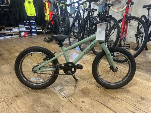Ridgeback dimension stg - 16",