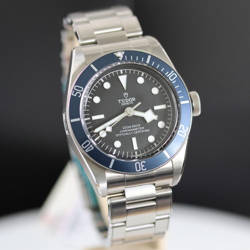Tudor black bay - tudor,