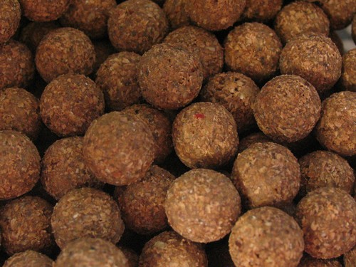 Pop ups 16mm tiger - 16mm, up