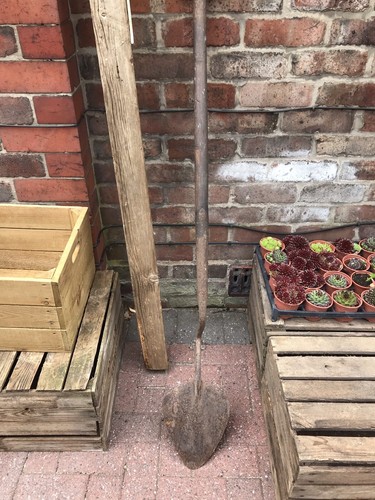 Reclaimed antique turf - antique,