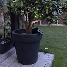 Big Plant Tree Pots Extra