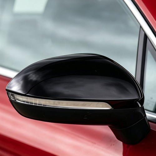 Right black door - door, mirror