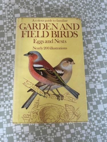 Garden and field birds - garden,