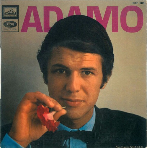 The neon adamo voice - the, |