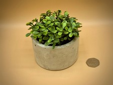 Handmade Concrete Planter