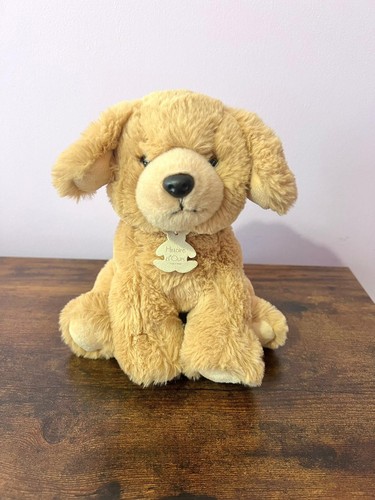 Histoire ours dog - dog, plush