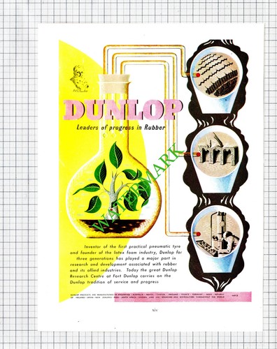 Dunlop rubber triumph - dunlop,