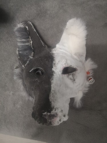 Black and white wolf mask - white,