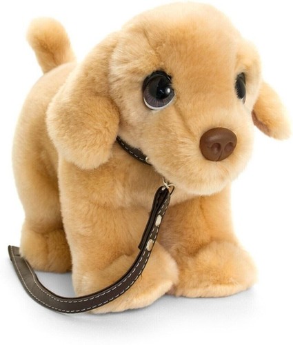 Keel golden labrador puppy dog - puppy,