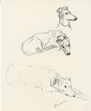 GREYHOUND VINTAGE 1937 DOG ART
