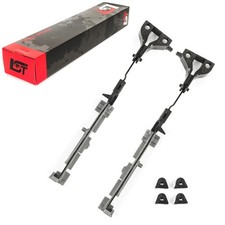 Panorama Glass Roof Sunroof