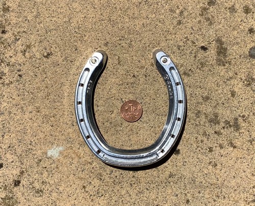 Horse shoe lucky - horse, shoe,