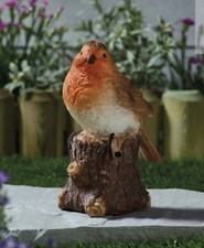 Robin Song Singing Bird