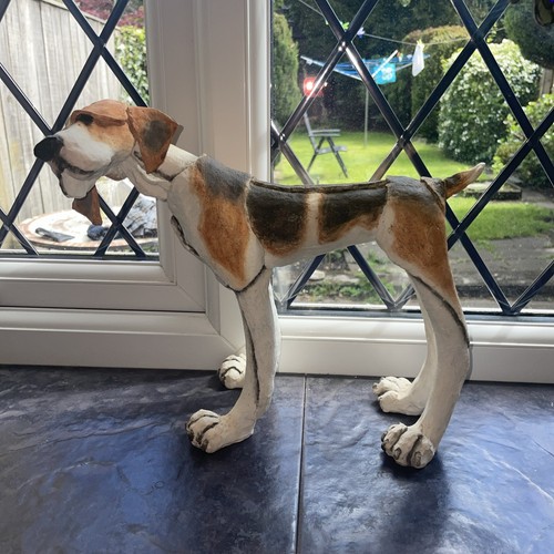 Breed apart foxhound fox hound - apart,