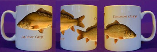 Mirror carp mug coarse - mug,